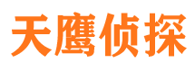 南岸市私家侦探